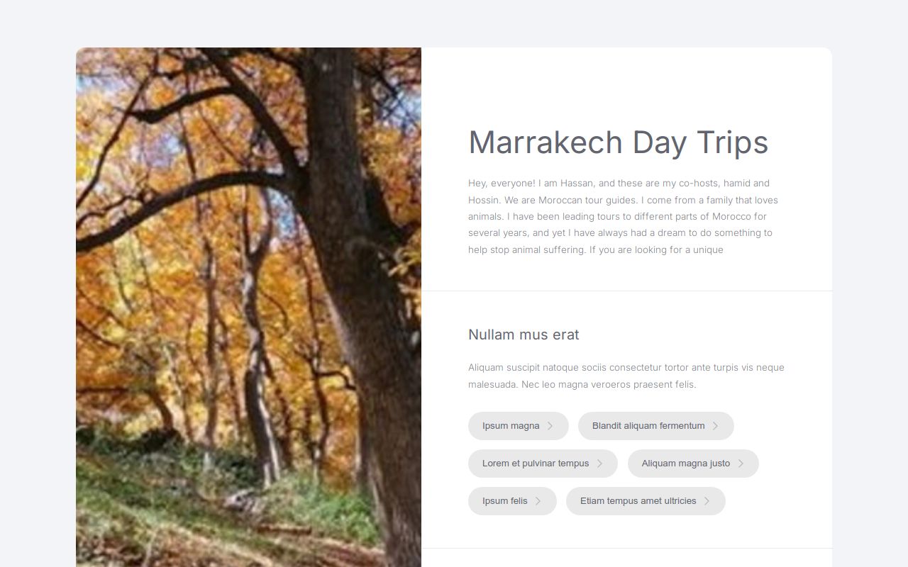 Carrd profile picture for @marrakech